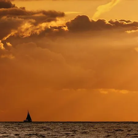 Min Herzing Nonnevitz