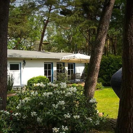 Min Herzing Nonnevitz