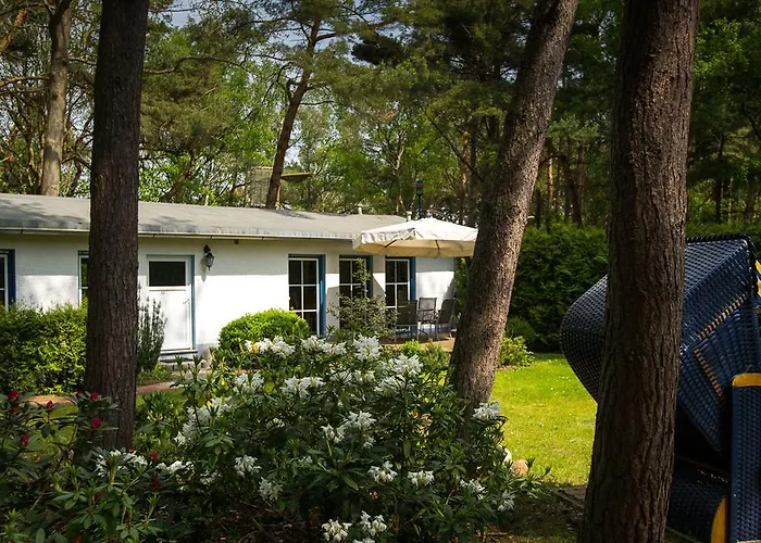 Min Herzing Nonnevitz